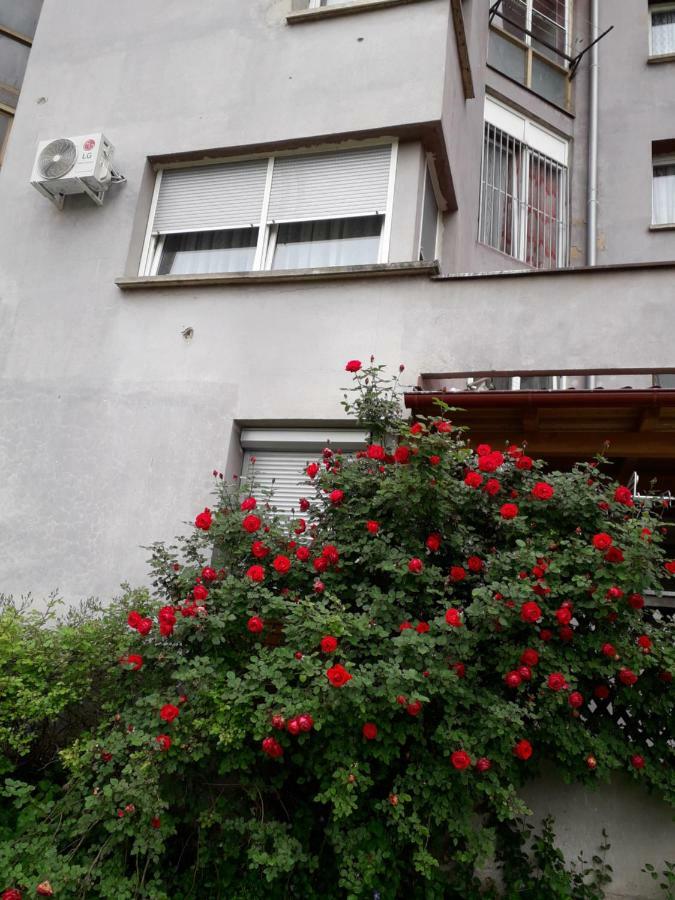 Apartments Lela บีฮัช ภายนอก รูปภาพ